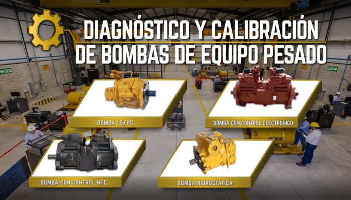 miniatura del curso